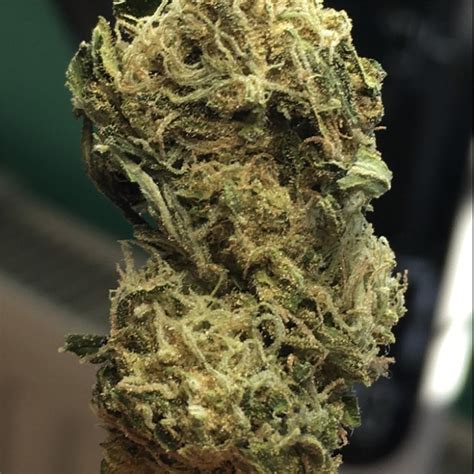 Sinkhole is the combination of classic cannabis genetics coming together as a combination of Nepali x Thai crossed with a Afghani x Skunk. . Sinkhole strain leafly